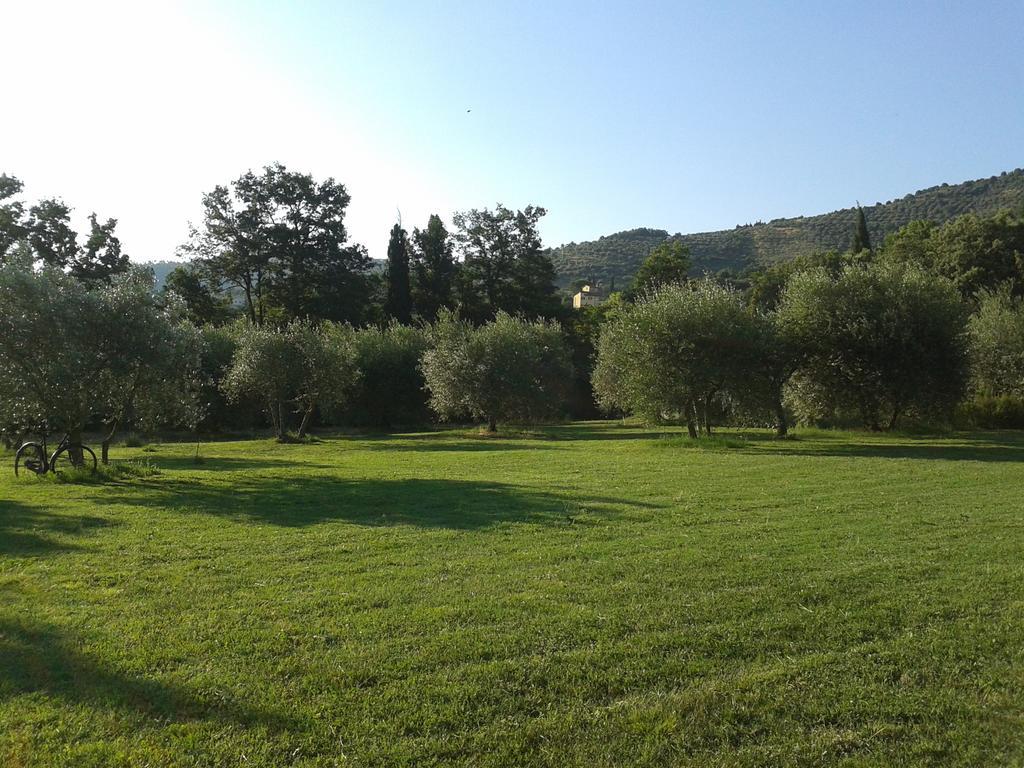Casa Soleluna B&B Κορτόνα Εξωτερικό φωτογραφία